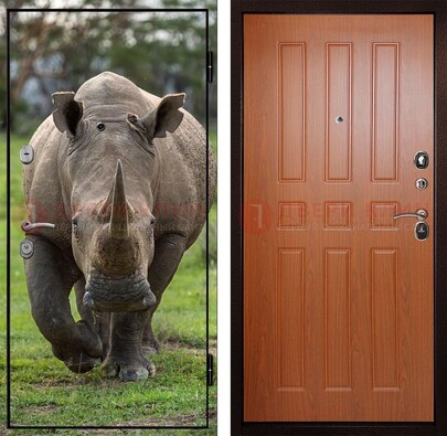 Металлическая дверь с фотопечатью носорога ДФ-31 в Павловском Посаде